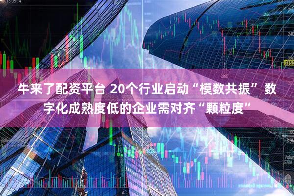 牛来了配资平台 20个行业启动“模数共振” 数字化成熟度低的企业需对齐“颗粒度”